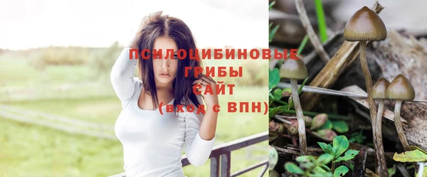 мет Кстово