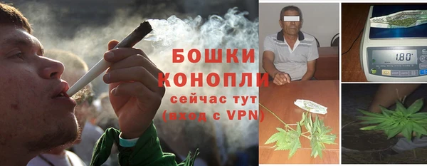spice Осташков