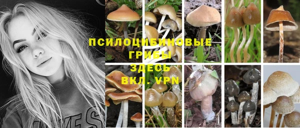 амф Остров