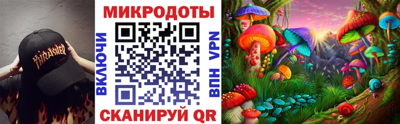 Псилоцибиновые грибы Psilocybine cubensis закладки Кыштым