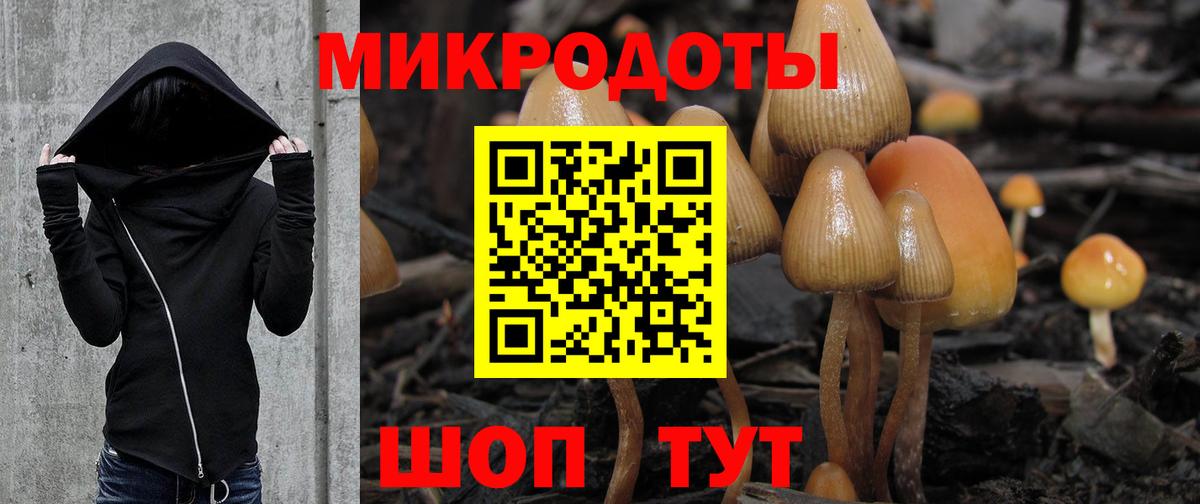 Псилоцибиновые грибы GOLDEN TEACHER Кыштым